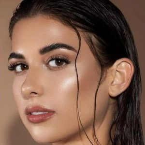 انواع هایلایترنحوه صحیح استفاده از آن‌ها